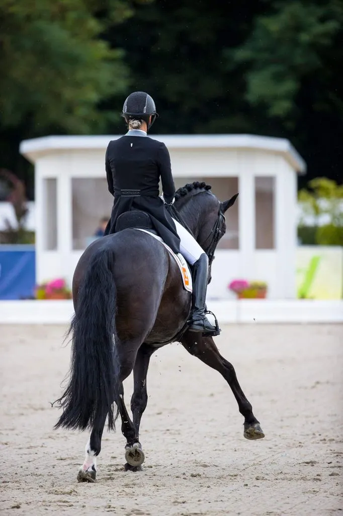 Tailcoat - Black, light grey