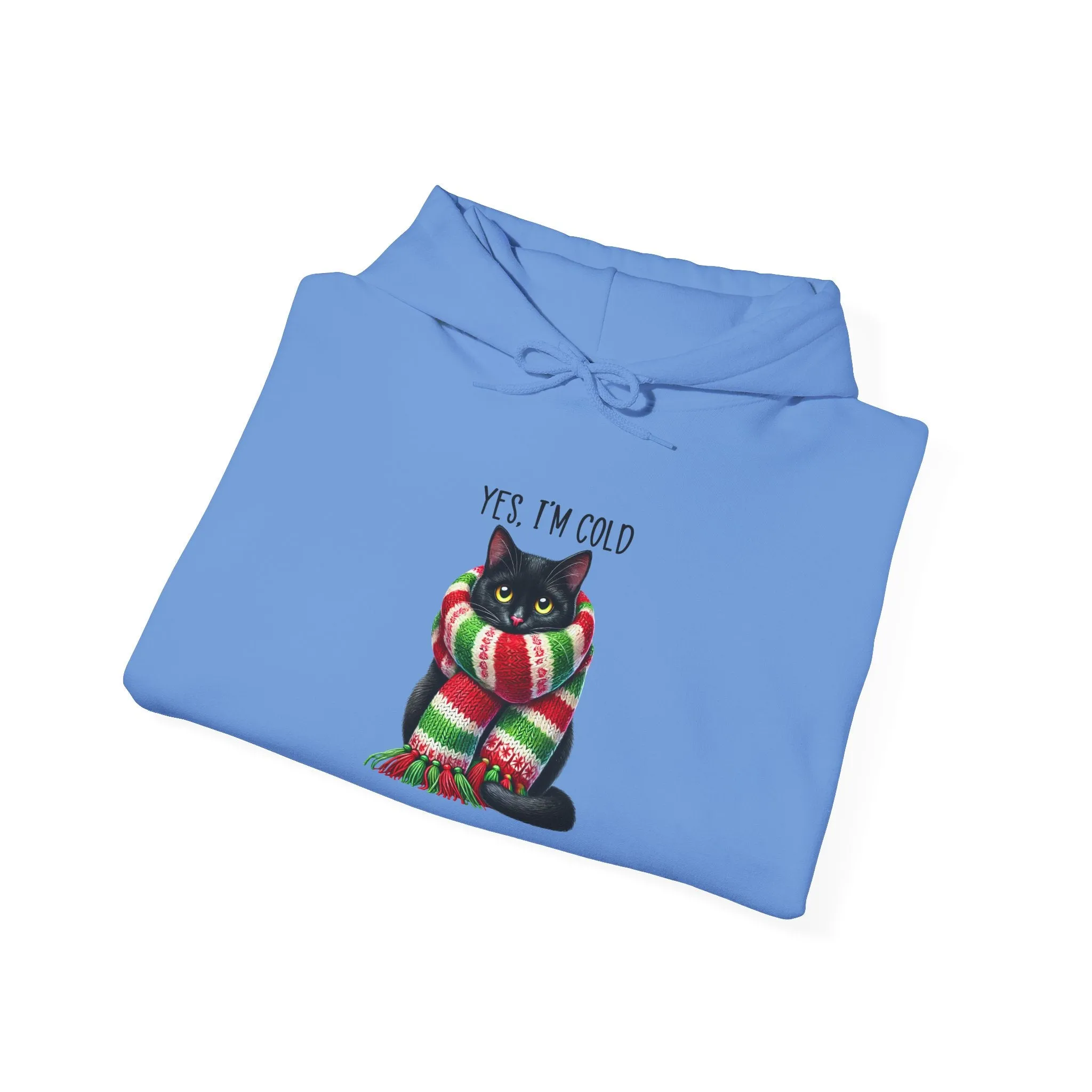 Yes, I'm cold - Heavy Hooded Sweatshirt